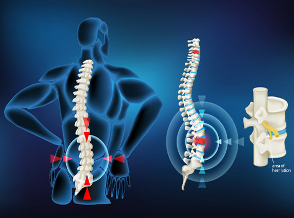 Prof. Dr. Murat Bezer Omurga Anatomisi